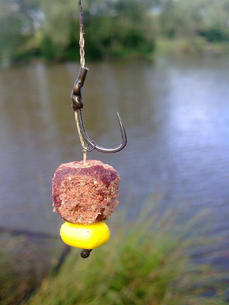 pescuit  - boilies-cioplit.jpg